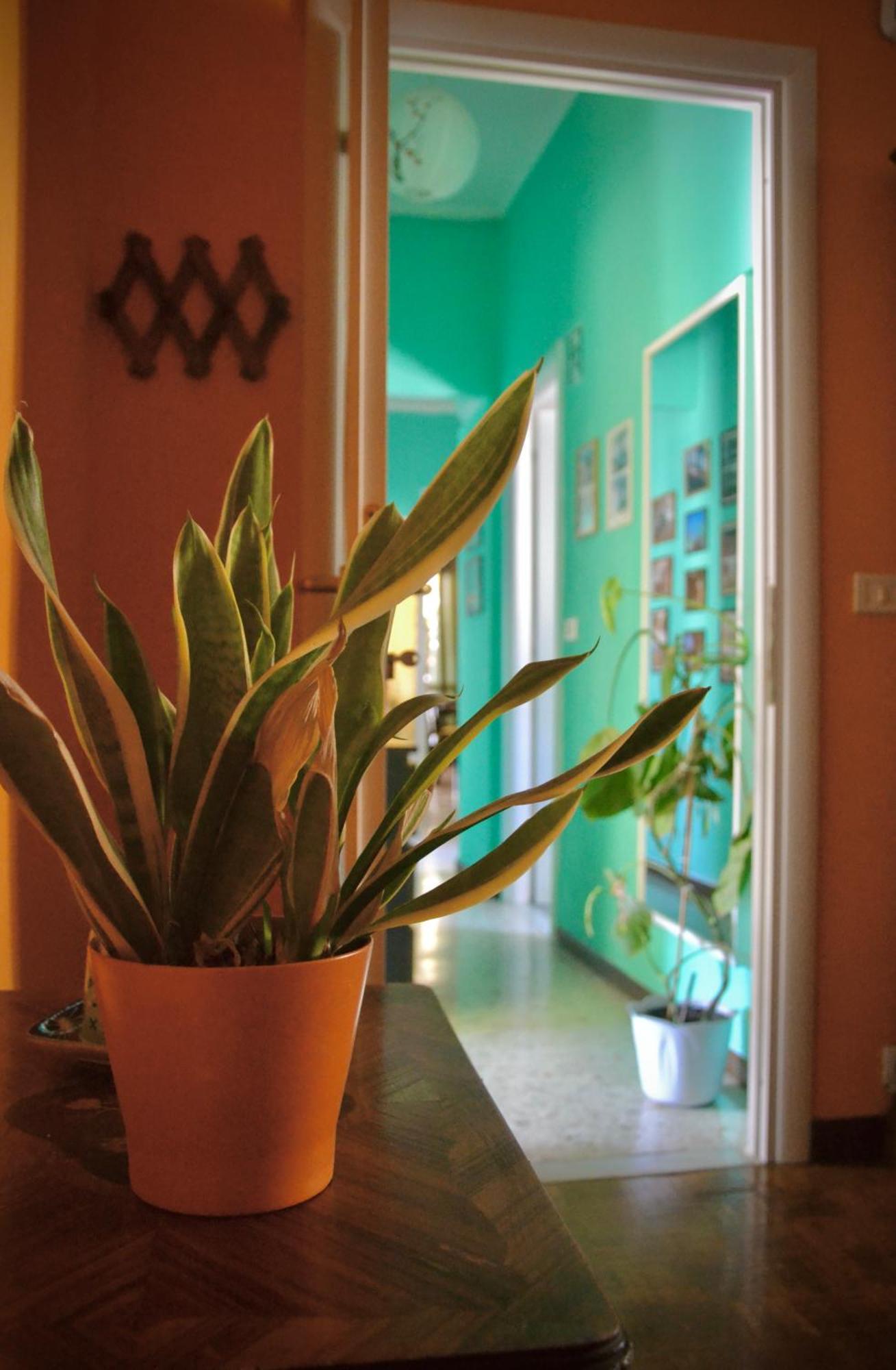 4321 B&B Stazione Trastevere 로마 외부 사진